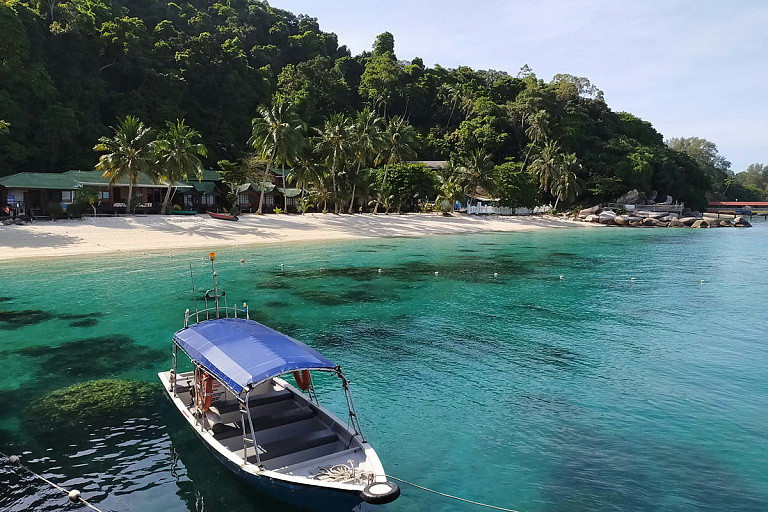 От елки к пальме: нашли идеальную страну для встречи Нового года