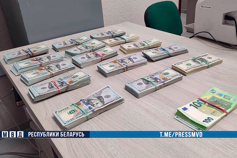 У белорусского пенсионера украли $180 000 – милиция