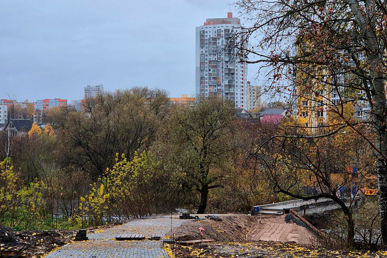 Два столичных микрорайона свяжет пешеходный мост