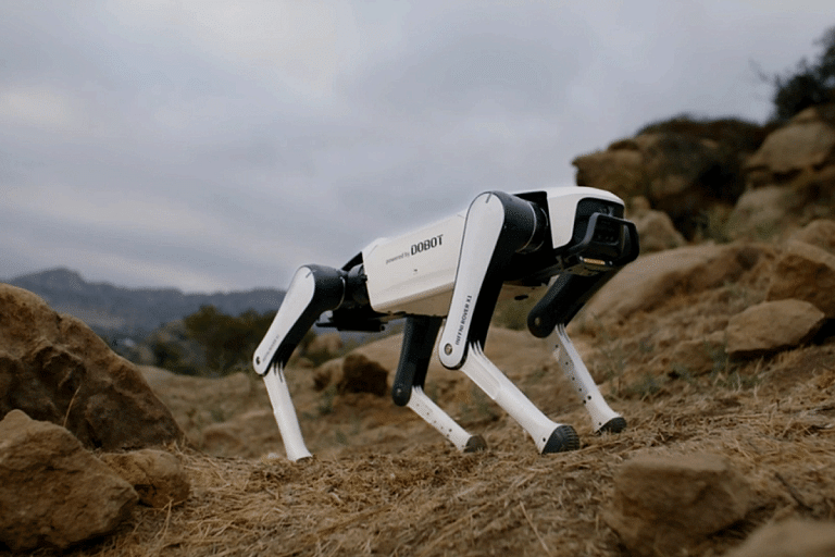 Новая эра технологий: роботы по цене смартфона представлены в Китае