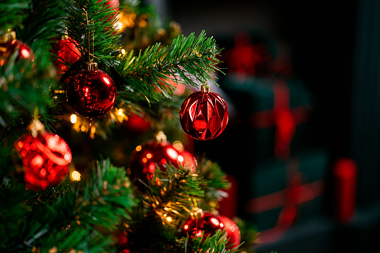 В Минске появится "секретная" новогодняя елка – узнали, где ее поставят