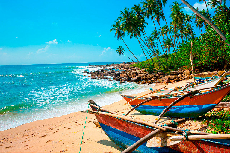 Шри-Ланка отменила решение о визах для белорусов – как теперь летать