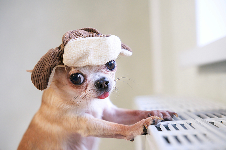 Зима дышит в спину: Рябов дал прогноз на неделю с 10 по 16 ноября