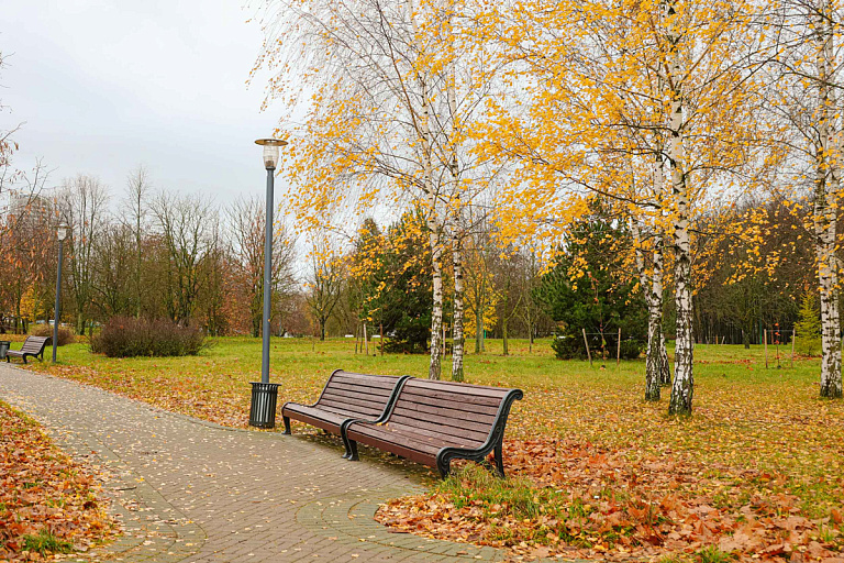 Отпугивает и людей: в одном из парков Беларуси установили странный гаджет