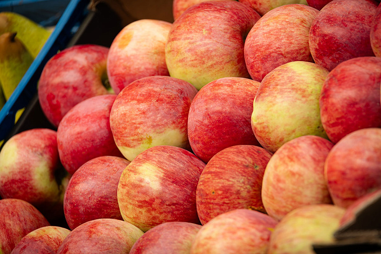 В Беларуси неурожайный год на яблоки: узнали, что с ценами и сколько импорта