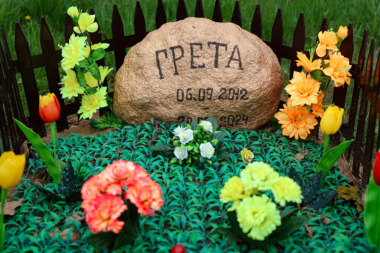 Что будет, если похоронить питомца на даче, – ответил адвокат