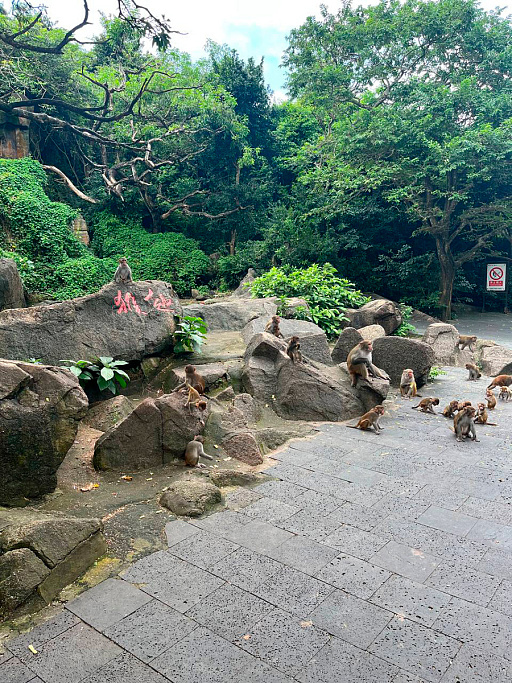 Фото предоставлено героем материала