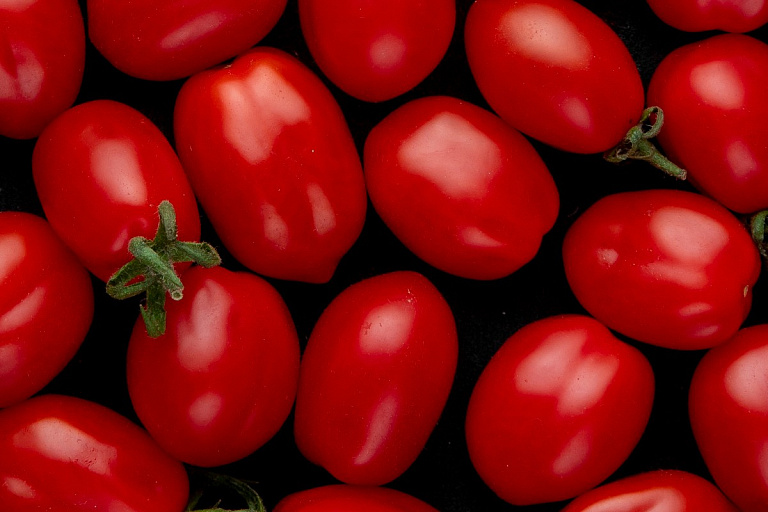 Помидоры свисают гроздьями: сорт-рекордсмен на 2026 год уже в продаже