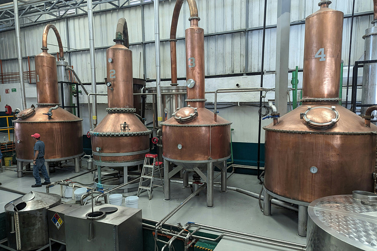 Старинный винзавод вновь выставили на аукцион в Беларуси – какие условия