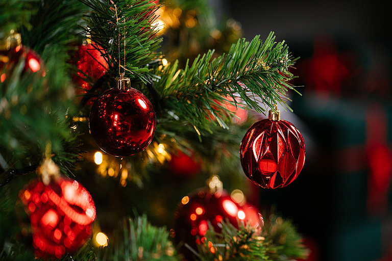 Спрос на отели Беларуси в новогодние праздники вырос – какие города в топе