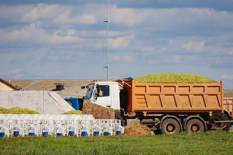 Проект из прошлого поможет жителям Гомельщины – о чем речь