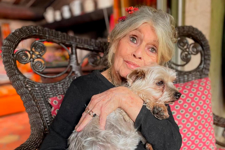 Брижит Бардо попала в больницу