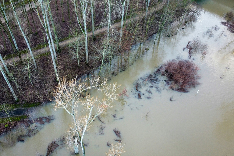 Гомельскую область спасут от паводков – Сож "угомонят"