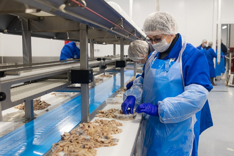 "Морские сезоны" под Минском: побывали на новом рыбном заводе в Колядичах