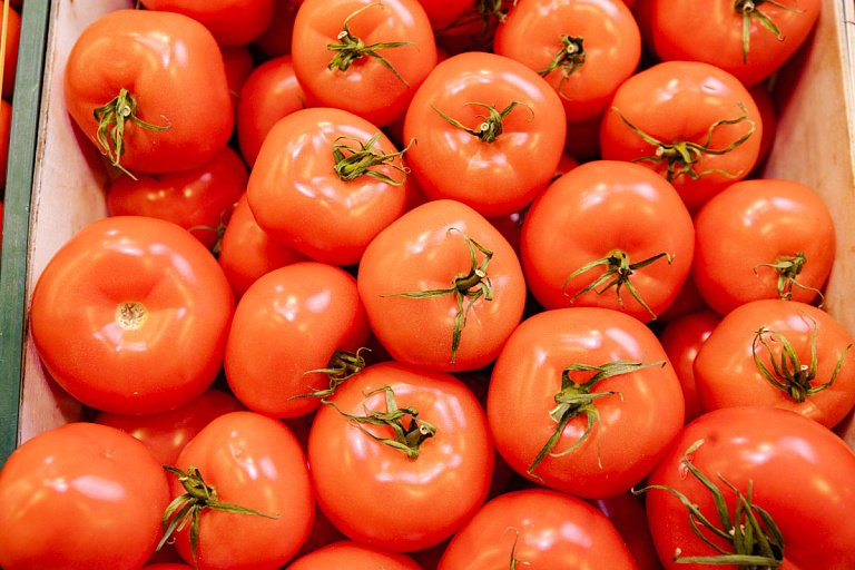 Белорусских огурцов и томатов хватит на всех – как решат вопрос