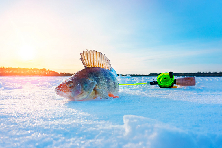 Белорус ловил рыбу крайне жестоким способом – он попал на видео