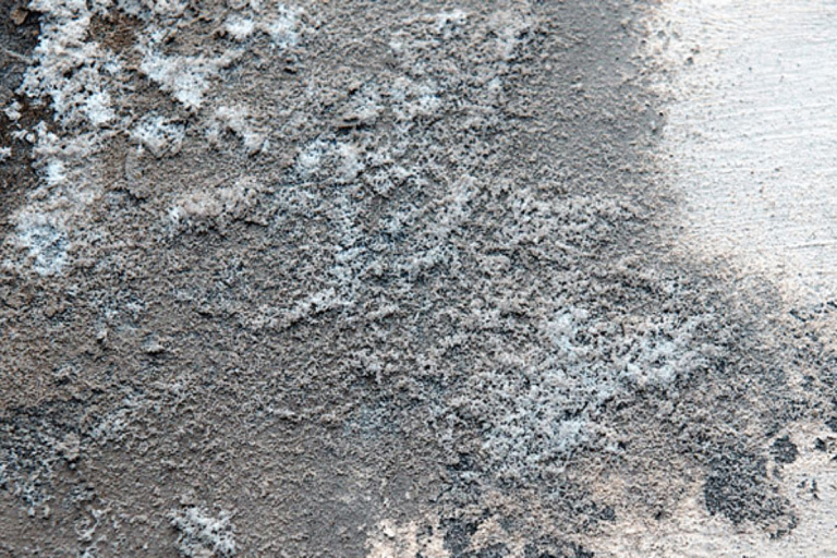 Плесень исчезает сама: всего одна вещь в погребе творит чудеса