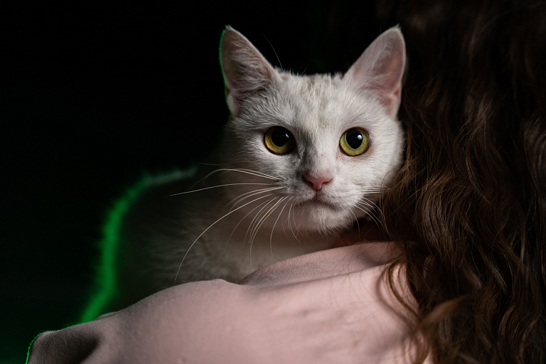 Betera продолжает помогать животным и искать им новый дом