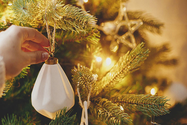 Пряничный домище и Вашингтон из Lego: Мелания Трамп украсила Белый дом