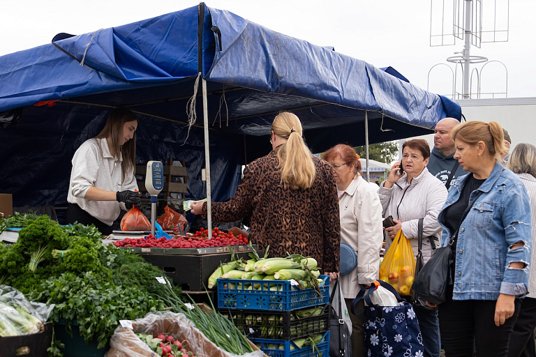 Последний шанс закупиться – в Минске завершается работа сельхозярмарок
