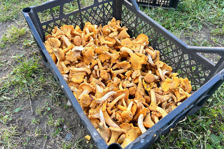 Вот это любовь к тихой охоте – гродненцев не останавливает даже зима