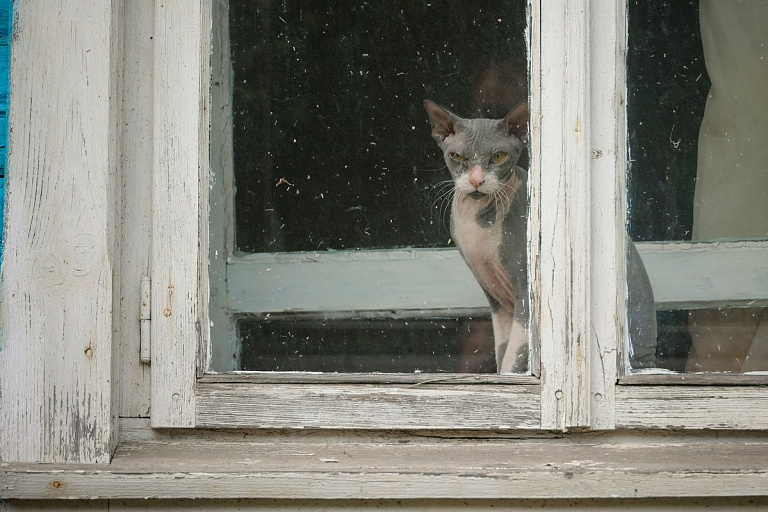 Разбежка в 22 градуса: синоптики рассказали о качелях в середине декабря