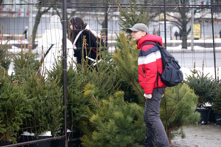 В Минске заработают более 50 елочных базаров – список по районам