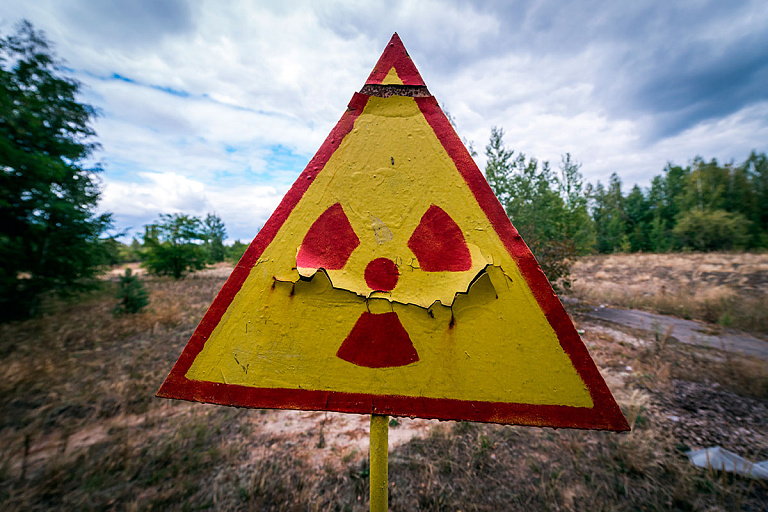 Что можно с пользой выращивать на загрязненных землях, рассказали ученые