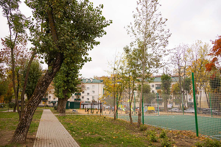 В Минске больше не будут сажать каштаны и березы – в чем дело