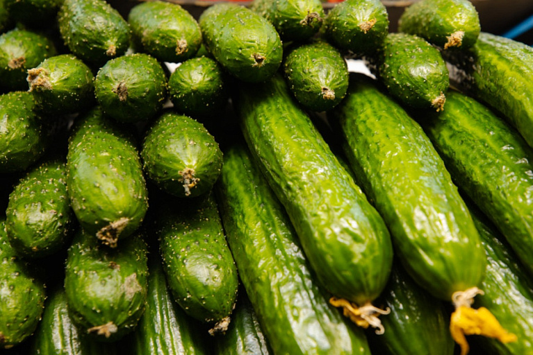 "Делаются из золота": белоруска возмутилась ценой огурцов – не все согласны