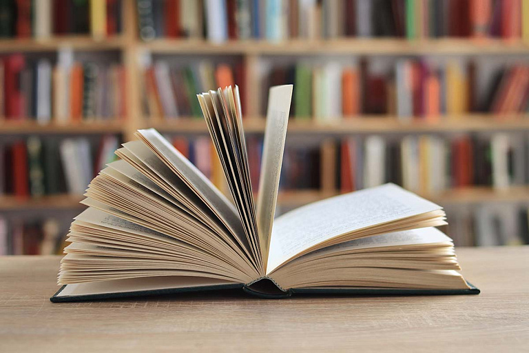 Лабубу и "банковский абьюзер": русский язык обогатился новыми терминами