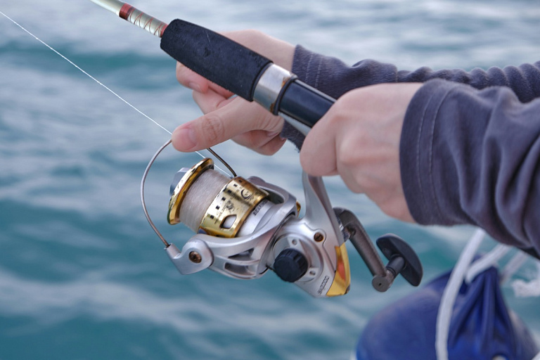 Рыбаки ловили щуку в чернобыльской зоне отселения – что им за это было