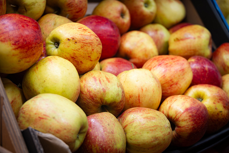 Минимальные вес и размер – в Беларуси ввели ГОСТ для продаваемых яблок