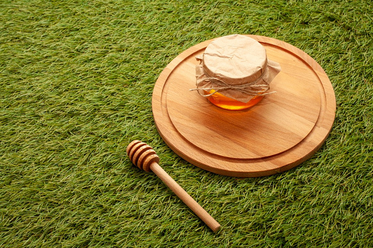 Одна ложка меда – и рассада оживает: проверенный прием дачников