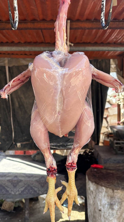 Фото предоставлено героем материала