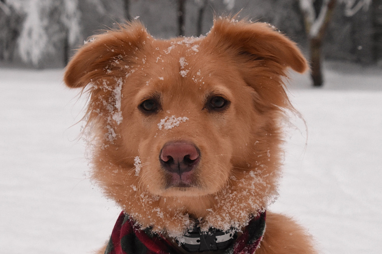 Узнали, когда в Беларуси наконец потеплеет, – хотя бы не -30°С