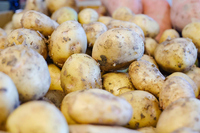 Нет ни картошки, ни яблок – в магазинах Гродно выявили множество нарушений