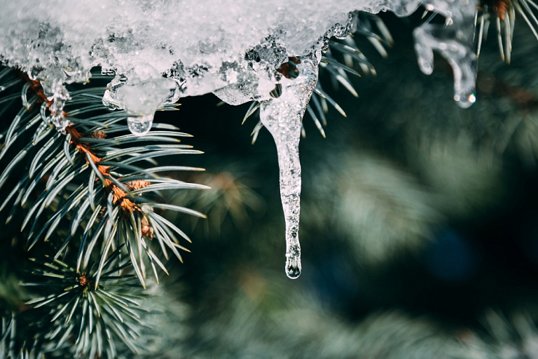 Неясно, что лучше: Рябов прогнозирует на предстоящей неделе дожди и гололед