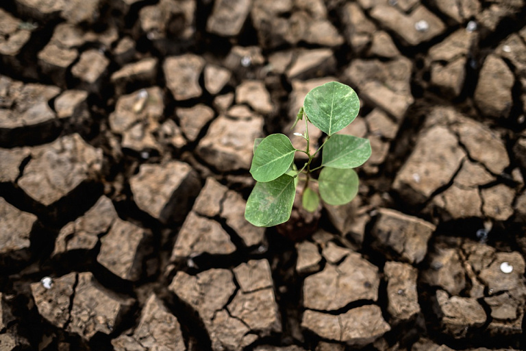 Вам не кажется – синоптик рассказал, как меняется белорусский климат