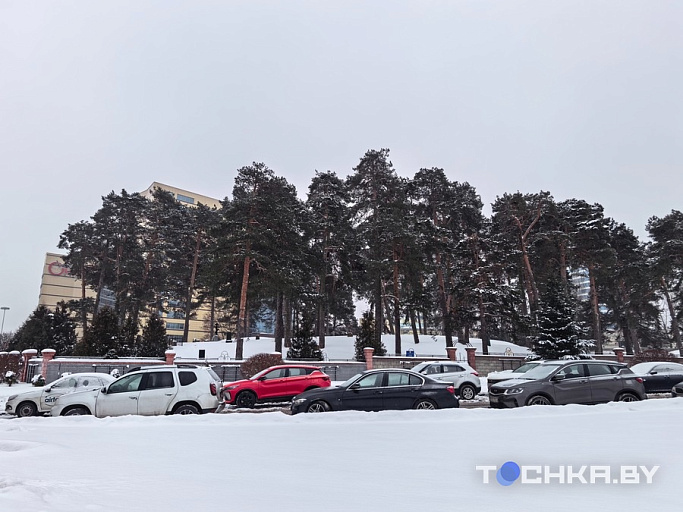 Так снимает Huawei Mate X7. Фото: Tochka.by