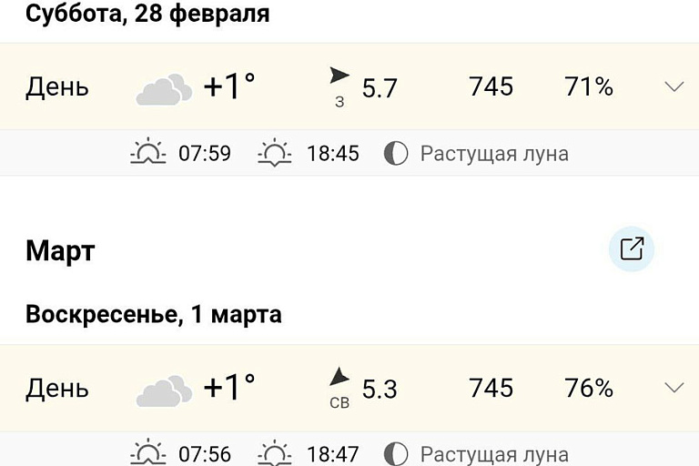 Скриншот: world-weather.ru
