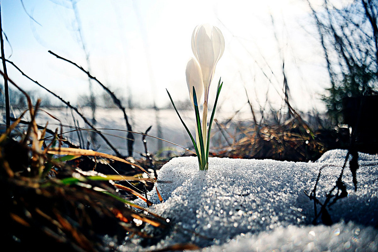 Уйдут ли морозы с началом весны: узнали, какая погода будет 1 марта