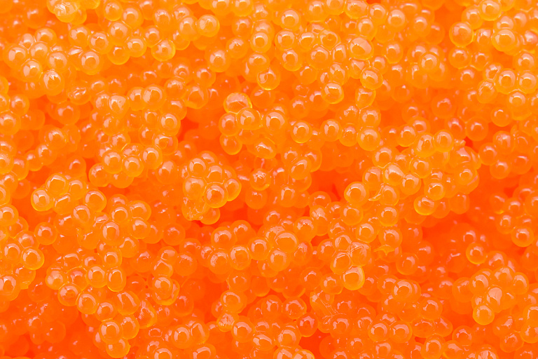 На Могилевщине начнут производить икру – будем ли есть ее ложками