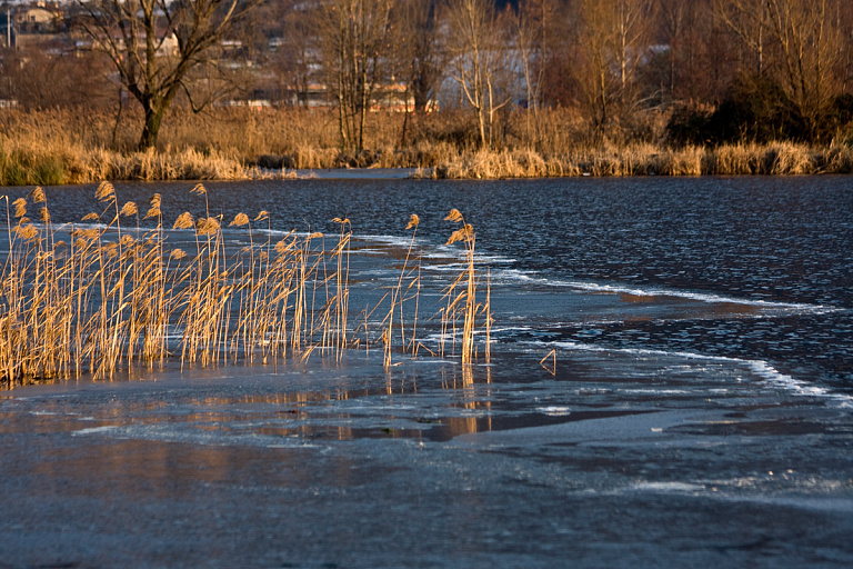 Белгидромет предупредил о риске опасного паводка в Беларуси – чего ожидать