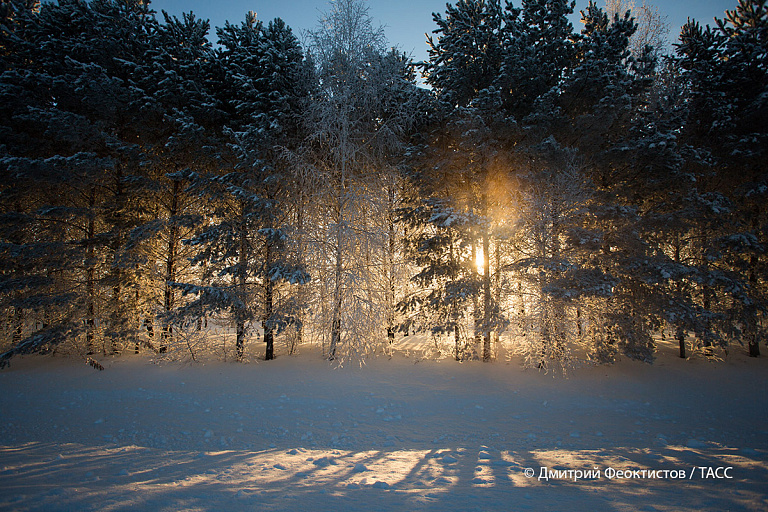 Белорусы протестировали научную разработку в сибирских морозах – что за она