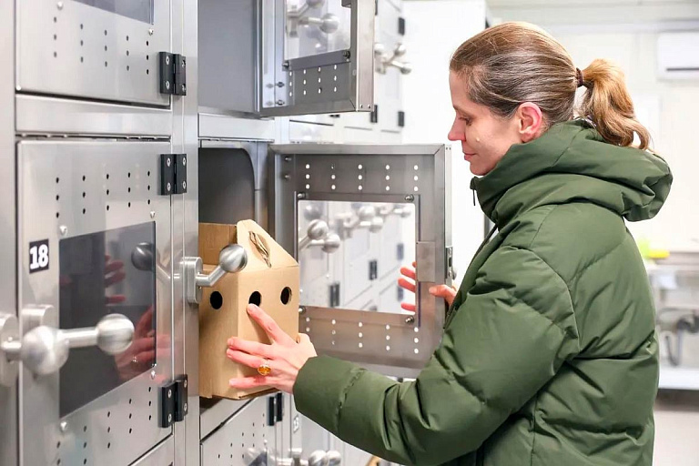 В Польше открыли первый в мире "птицемат" – все для помощи пернатым