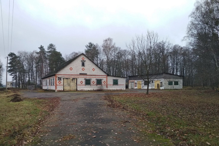 Вот это азарт: на торгах в Гомельской области повышали ставки 1200 раз