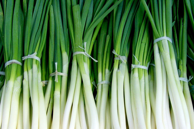 Лук растет без земли и воды – способ, о котором знают единицы