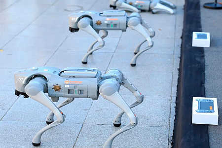 Фанаты могут быть спокойны: на ЧМ-2026 по футболу их защитят робособаки