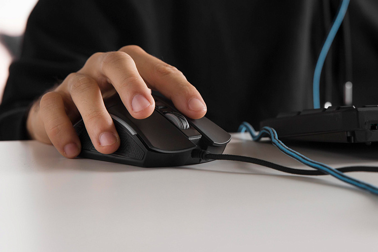 В Беларуси запретили компьютерную мышь известного бренда – чем не угодила